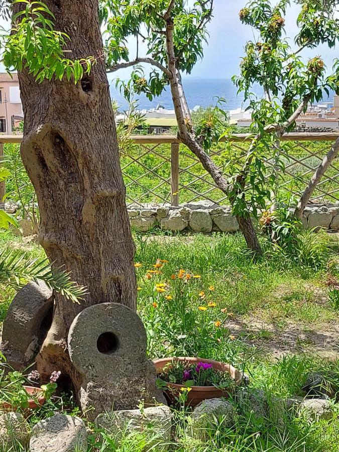 Villa Symphony Sea View Forio (Isola d'Ischia) Exterior foto