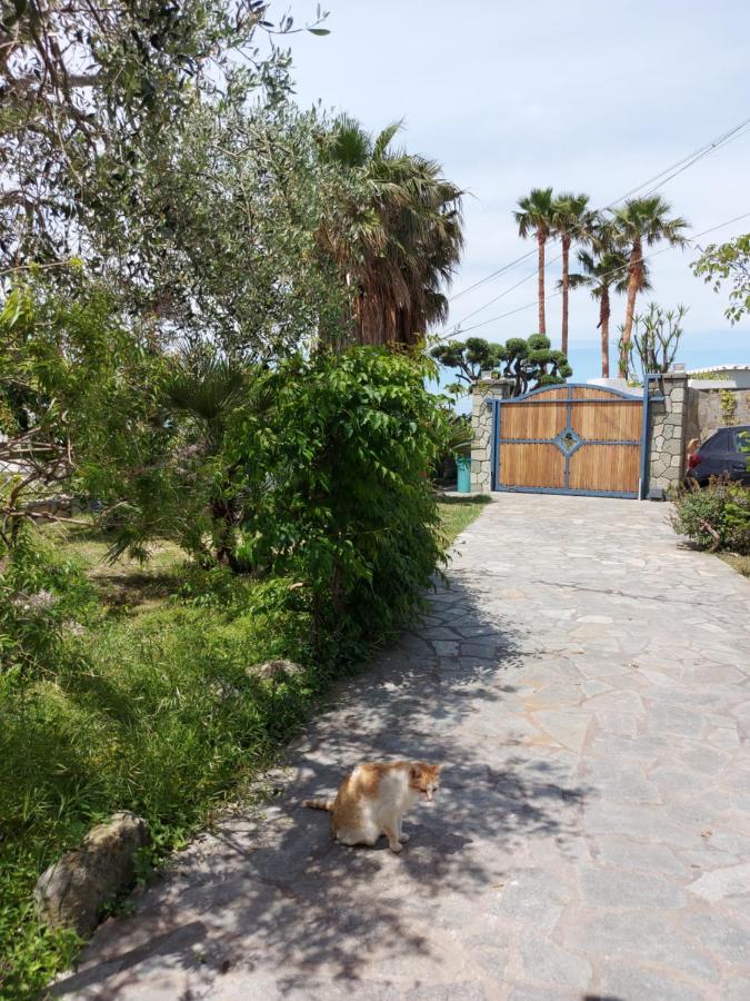 Villa Symphony Sea View Forio (Isola d'Ischia) Exterior foto