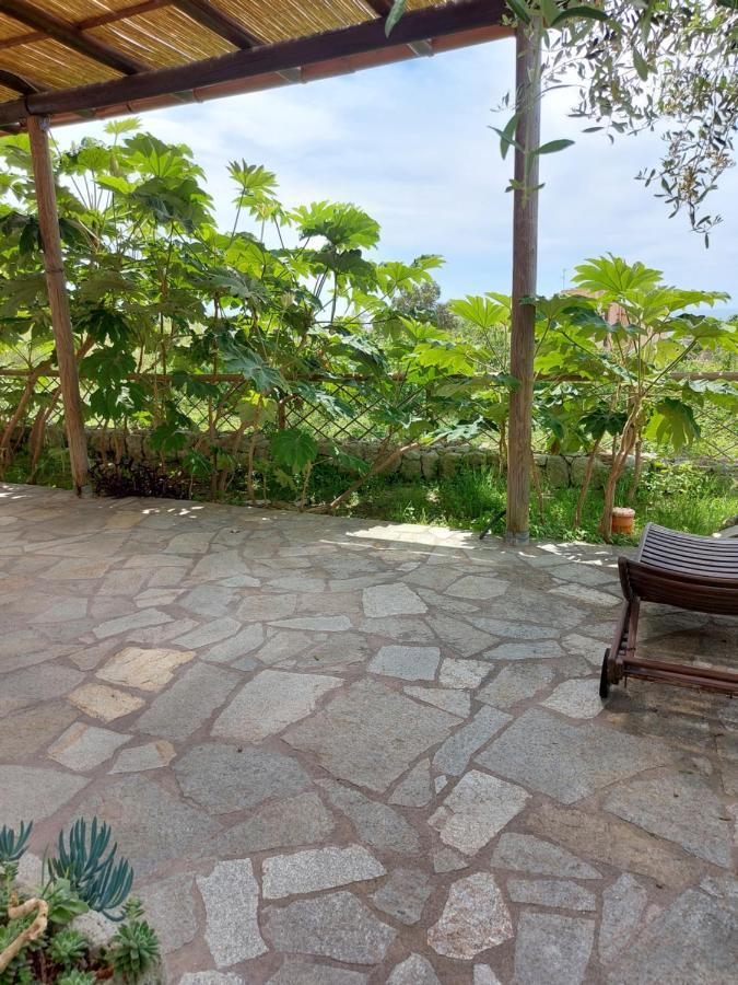 Villa Symphony Sea View Forio (Isola d'Ischia) Exterior foto