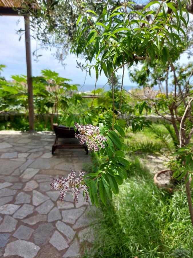 Villa Symphony Sea View Forio (Isola d'Ischia) Exterior foto