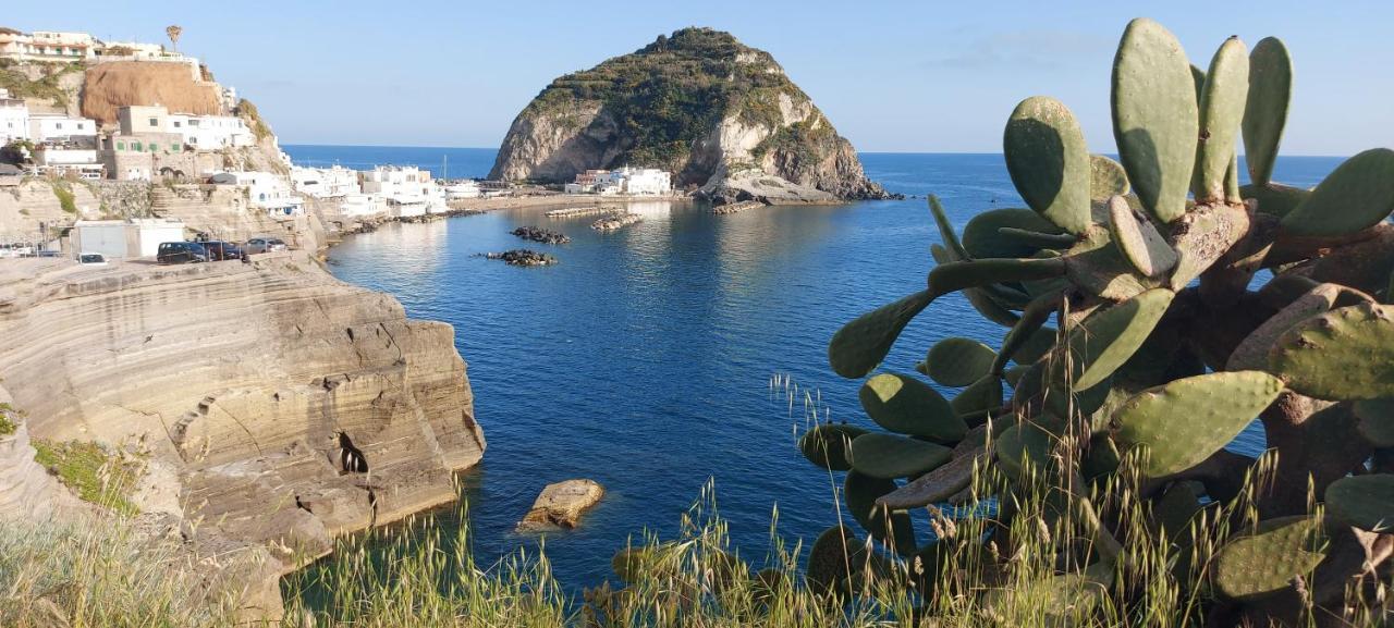 Villa Symphony Sea View Forio (Isola d'Ischia) Exterior foto