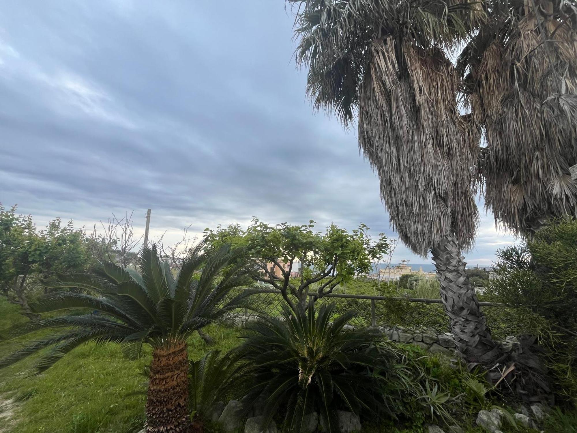 Villa Symphony Sea View Forio (Isola d'Ischia) Exterior foto