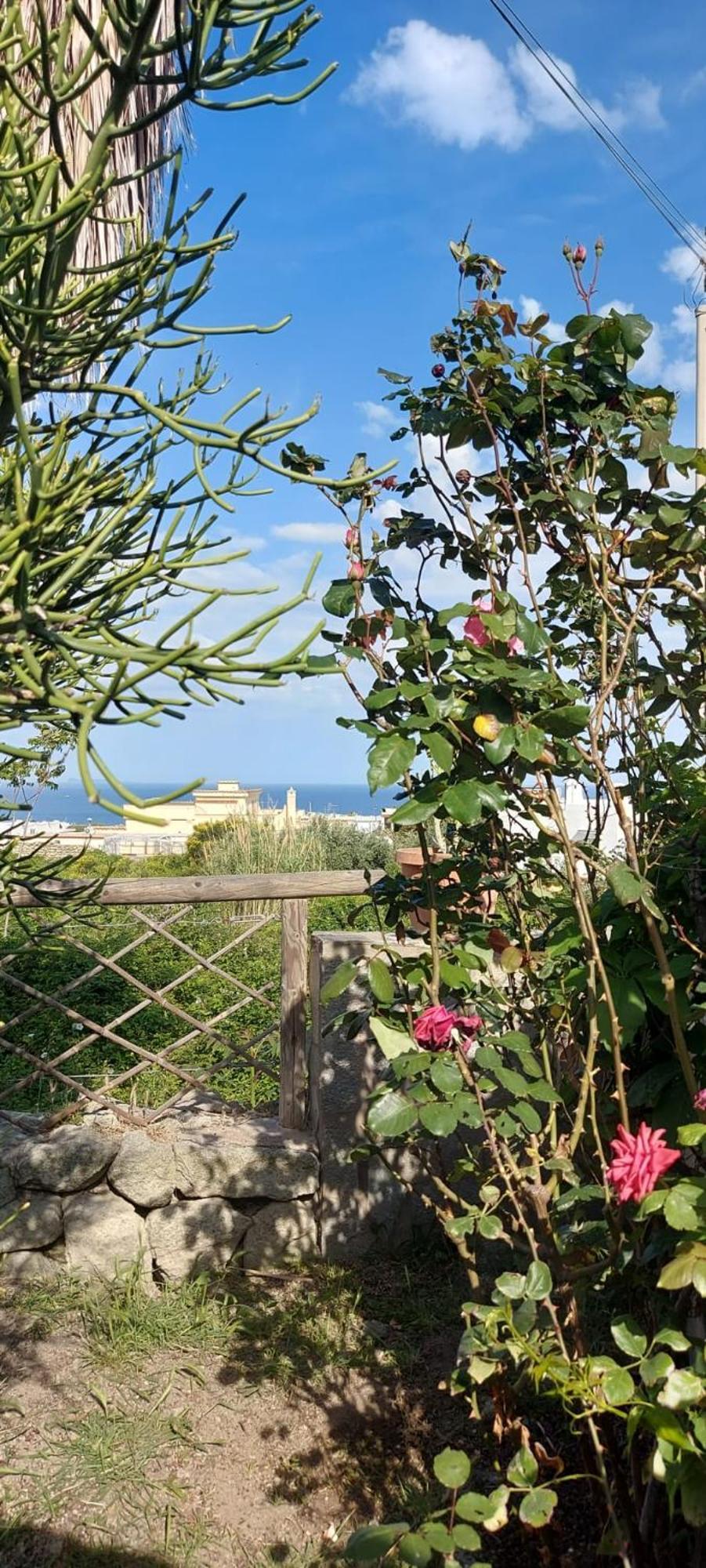 Villa Symphony Sea View Forio (Isola d'Ischia) Exterior foto