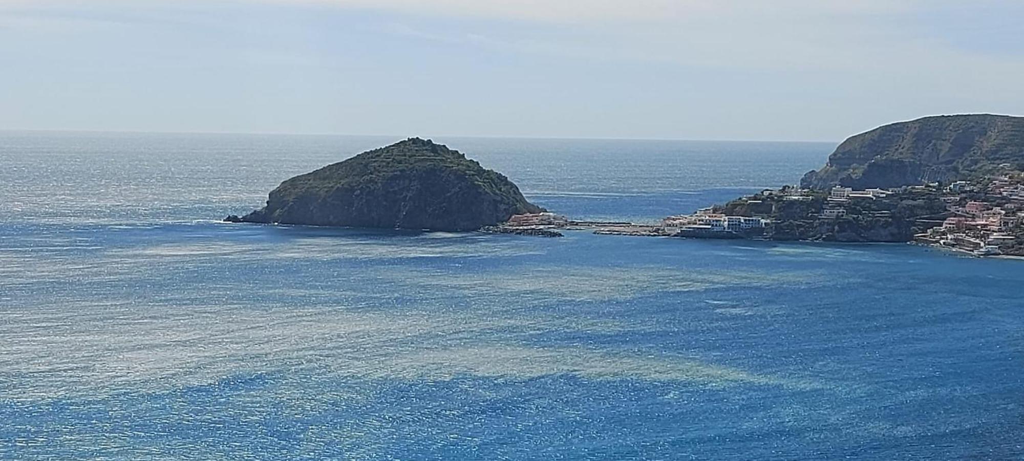 Villa Symphony Sea View Forio (Isola d'Ischia) Exterior foto