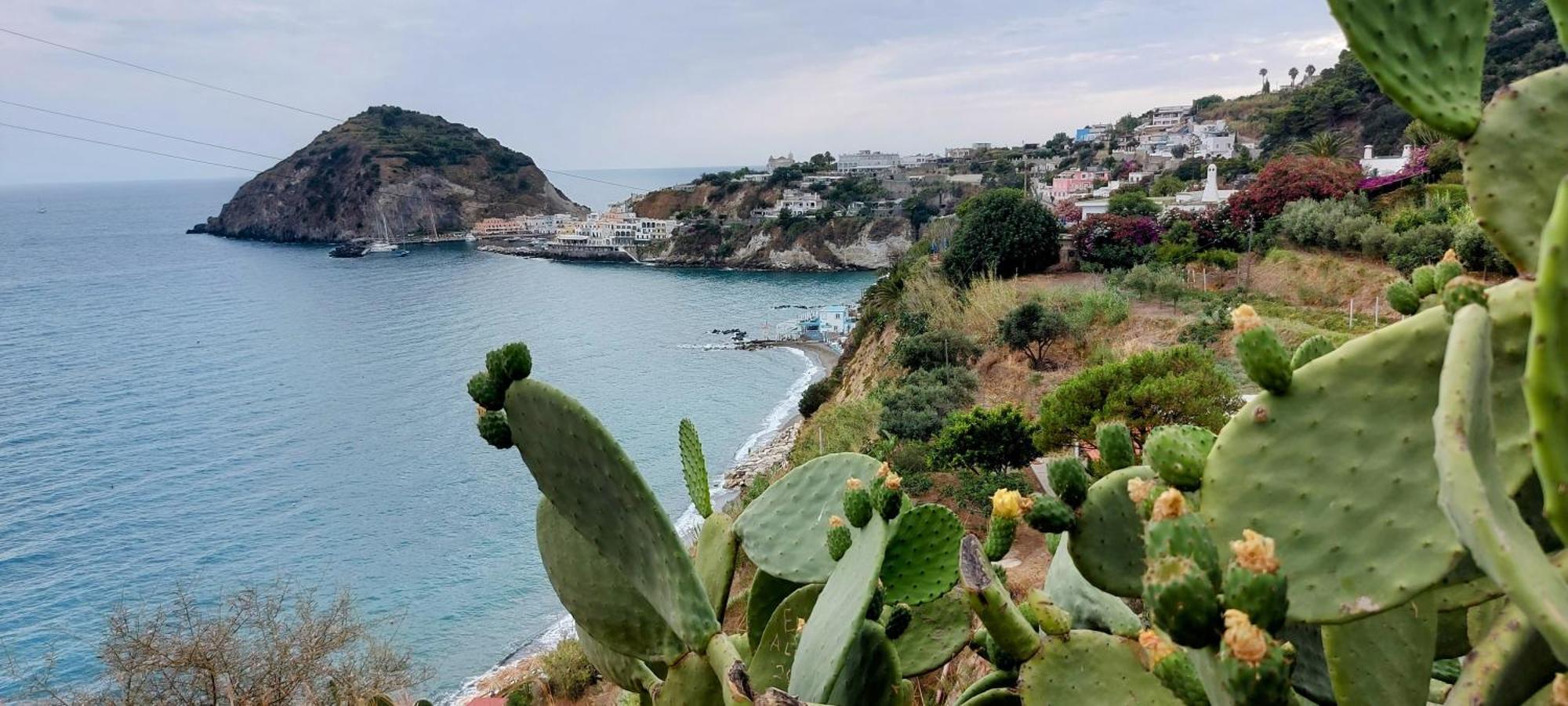 Villa Symphony Sea View Forio (Isola d'Ischia) Exterior foto